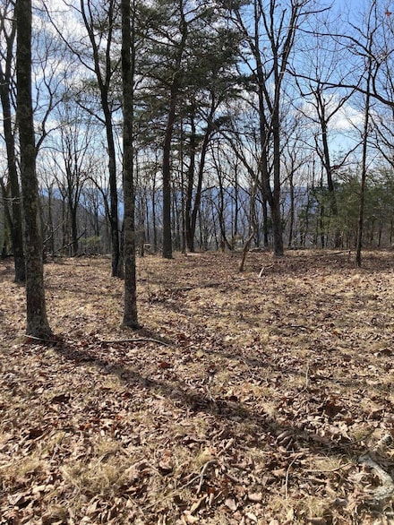 0 Grandview Rd Unit 1386742, Signal Mountain, TN 37377