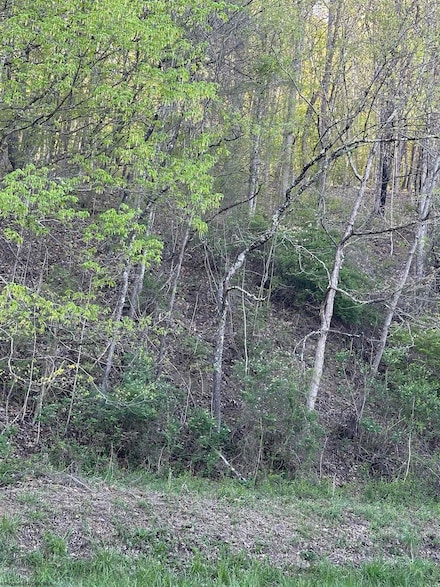 TBD Webster Pike, Grafton, WV 26354