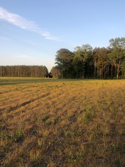 0 Fire Tower Rd, Walstonburg, NC 27888