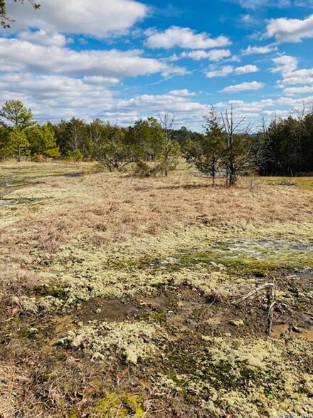 0 Highway 5 Unit 23004375, Calico Rock, AR 72519