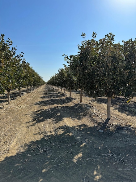 00 S Dickenson Ave, Lemoore, CA 93245