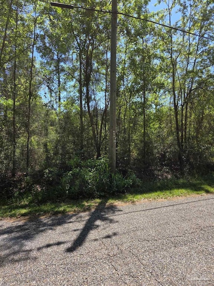 Lot 0 Fieldcrest St, Milton, FL 32583