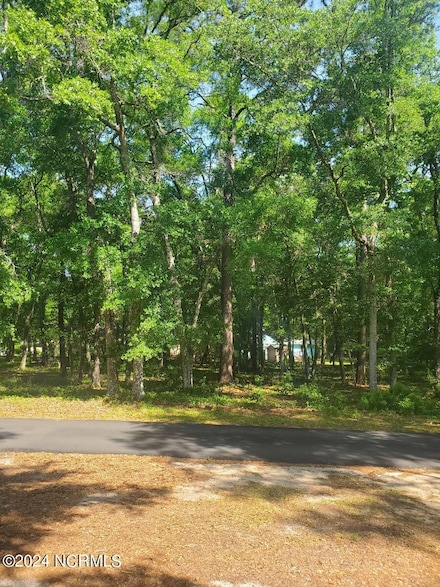 9110 Ocean Harbour Golf Club Dr SW, Calabash, NC 28467