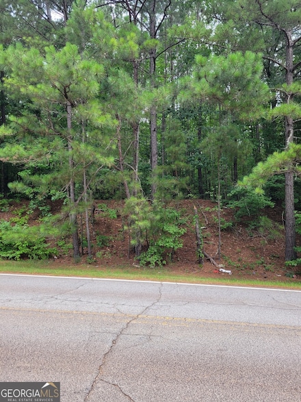 0 White Mill Rd Unit 10095447, Fairburn, GA 30213