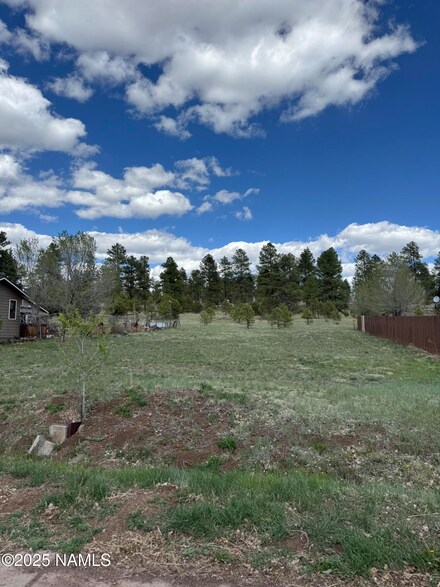 882 Wells Fargo Dr, Williams, AZ 86046