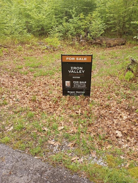 0 Wildflower Ln, Oneida Township, PA 16652