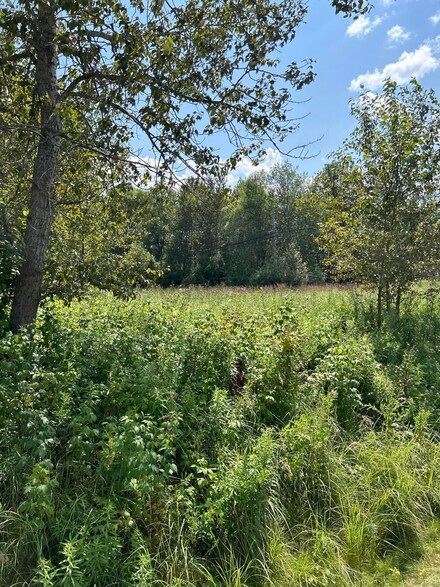 NHN S Jefferson St Unit 1.72 Acres, Alpena, MI 49707