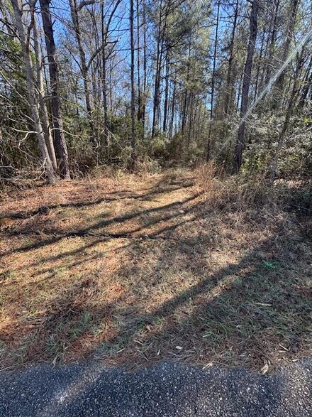 TBD Wilson Magee Rd N, Bogalusa, LA 70427