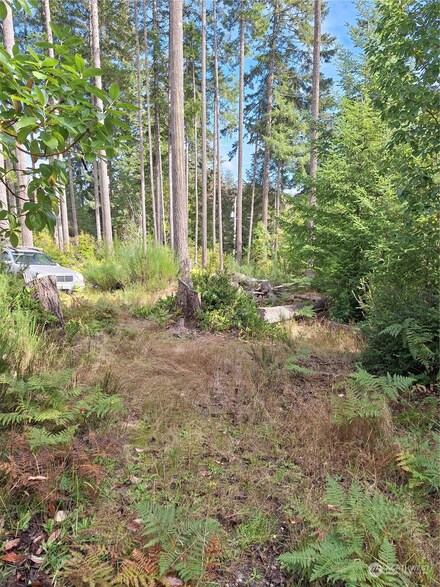 1850 E Timberlake Dr W, Shelton, WA 98584