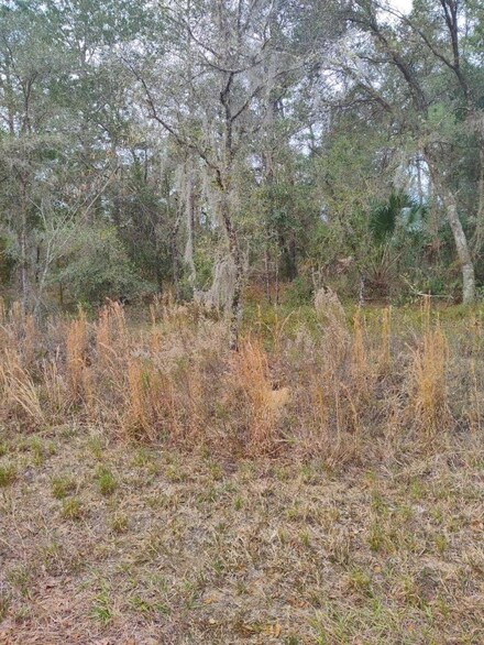 0 NW Shamrock Ave Unit OM650606, Dunnellon, FL 34431
