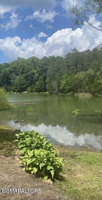 Lot 7 Pleasure Rd, Sevierville, TN 37876