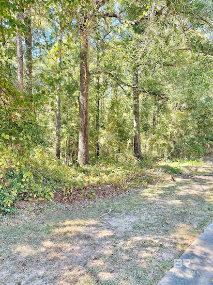 51 Steelwood Ridge Rd, Loxley, AL 36551
