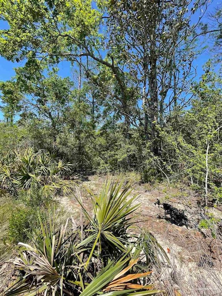 lot 7003 Durwood Ln, Milton, FL 32583