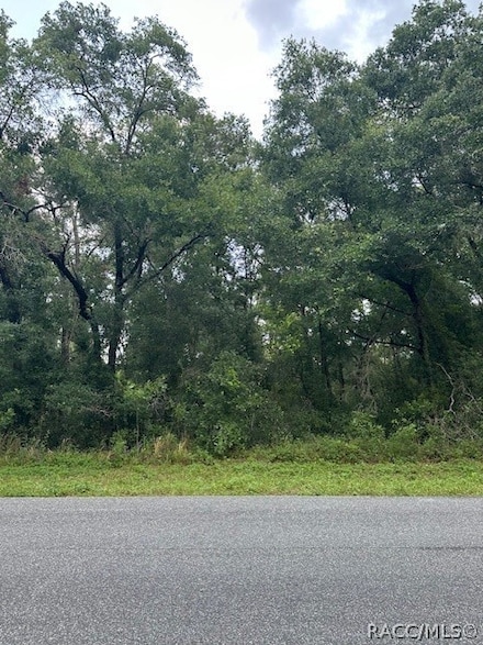 2173 W Andromedae Dr, Dunnellon, FL 34434