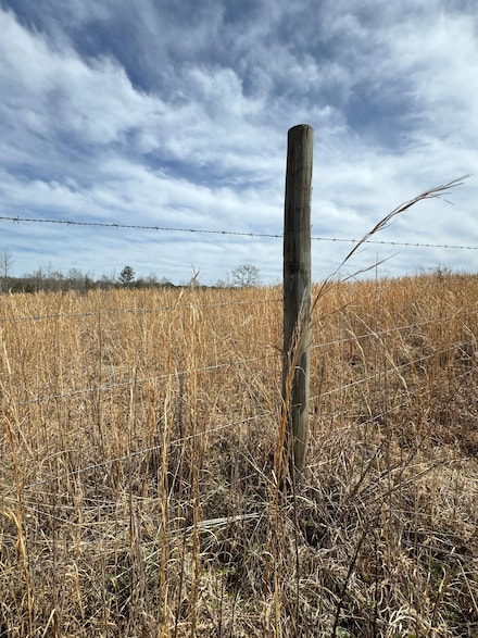 0 County Road 10, Winfield, AL 35594