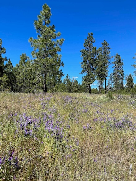 Lot A Kronos Short Plat Ln, Davenport, WA 99122