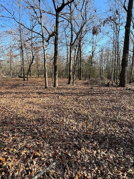 0 Morrison Rd Unit 24045231, Ravenden Springs, AR 72460