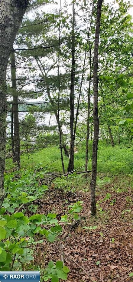 TBD Palm Dr, Biwabik Township, MN 55741