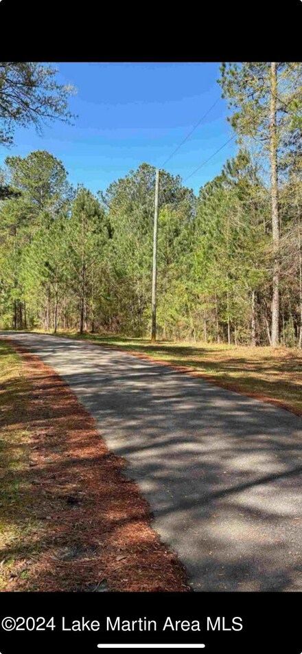 0 Katie Dr Unit 24-1132, Wedowee, AL 36278
