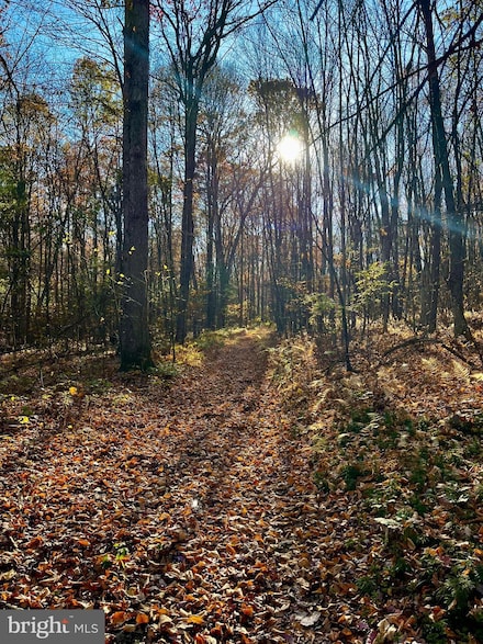 2 Beech Creek Mountain Rd, Beech Creek, PA 16822