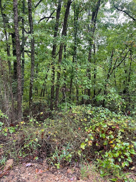 Lot 7 Needle's Eye Trail, Mammoth Spring, AR 72554