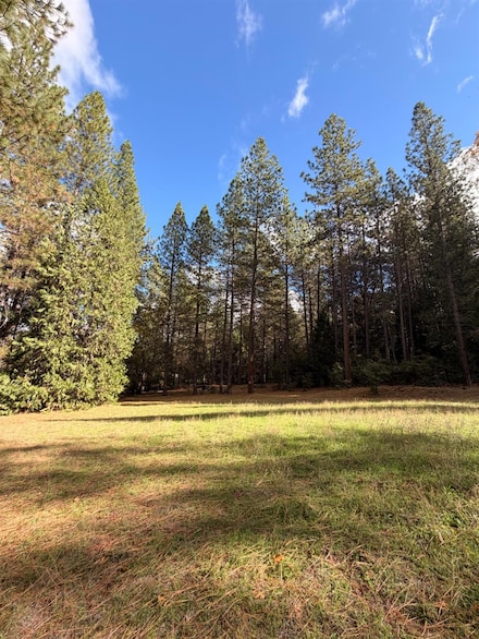4701 Vogelsang Ln, Placerville, CA 95667