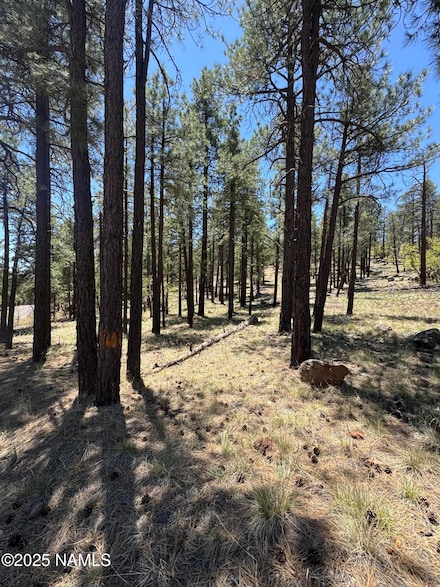 1575 Pine Meadow Dr, Williams, AZ 86046