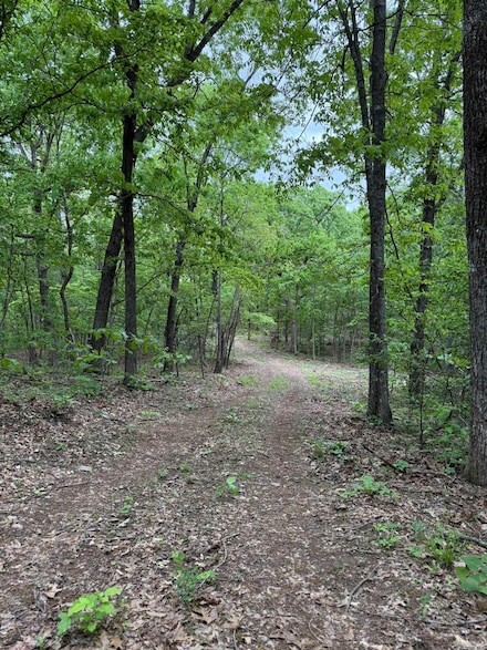 40 Ridge Rd, Hardy, AR 72542