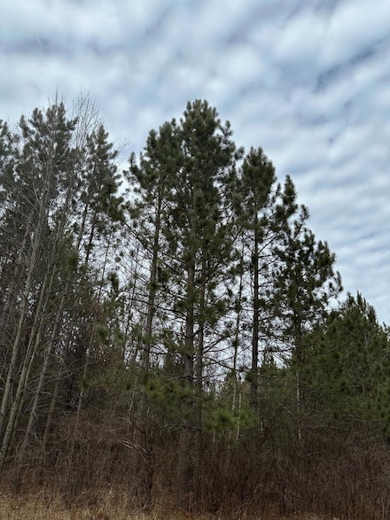 ON Cth G Unit 2062, Rhinelander, WI 54501