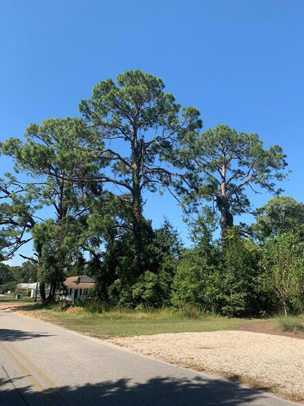 113 17th St, Apalachicola, FL 32320