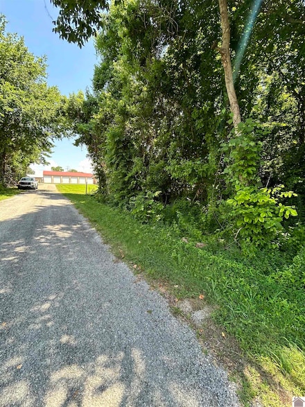 000 Maple Ln, Canton, KY 42211