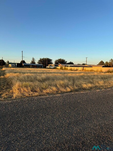 208 Lynn Ave, Clovis, NM 88101