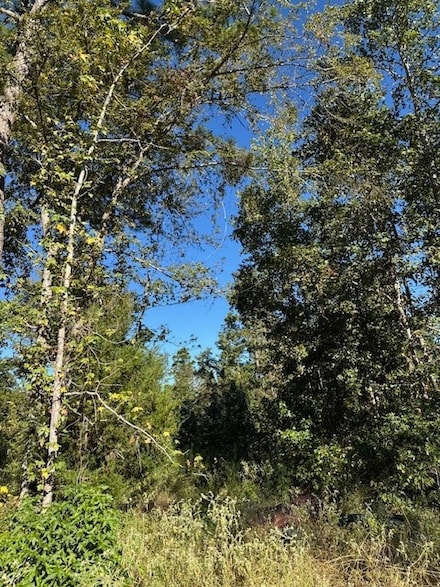 536 An County Road 1233, Palestine, TX 75801