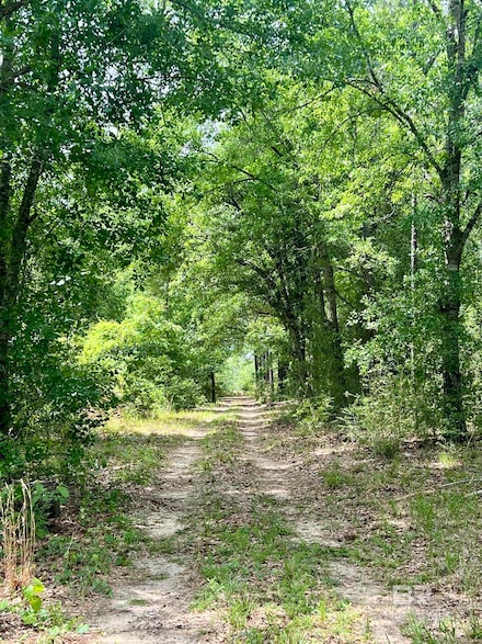 0 Glass and Spivey Rd Unit 379056, Robertsdale, AL 36567