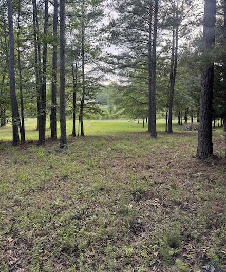 000 Private Road 7223, Jefferson, TX 75657