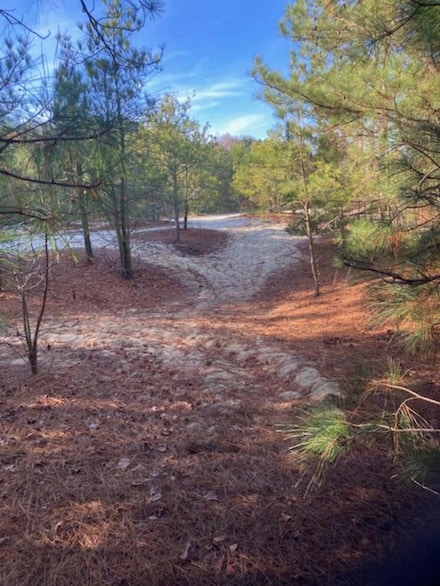0 Cherry Hill Rd, Accomac, VA 23301