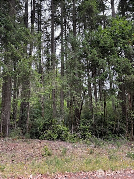 10419 Matthews Way, Anderson Island, WA 98303