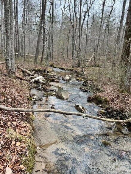1e Tennessee 150, Sequatchie, TN 37374