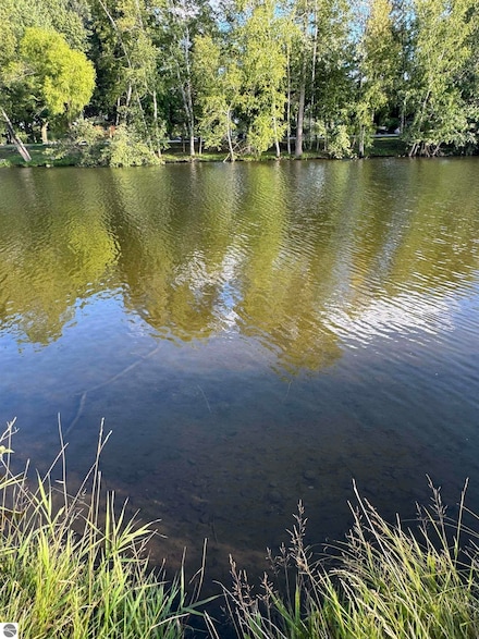 1012 Southport Dr, Lake Isabella, MI 48893