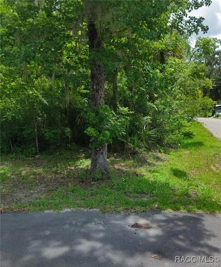 TBD County Road 428, Lake Panasoffkee, FL 33538
