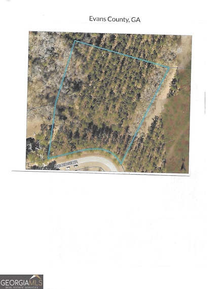 0 Pine Ridge Dr Unit 10519626, Claxton, GA 30417
