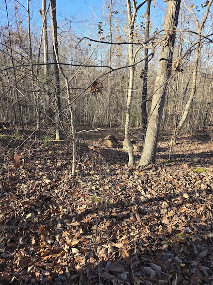 179 Hidden Valley Rd, Dover, TN 37058
