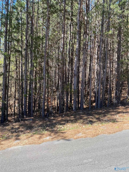 Lot 4 Blk 2 Alyson Ave NW, Fort Payne, AL 35968
