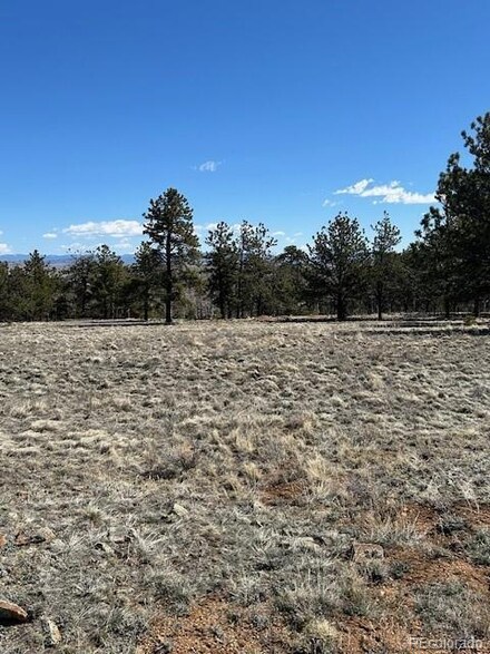1072 Wagon Wheel Rd Unit 272, Hartsel, CO 80449