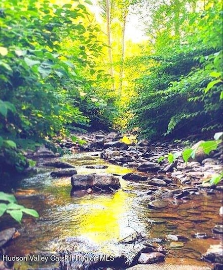 0 Wachter Blvd Unit 155918, East Durham, NY 12423