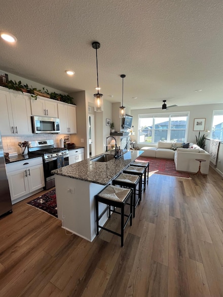 5539 Welter Way, Chaska, MN 55318