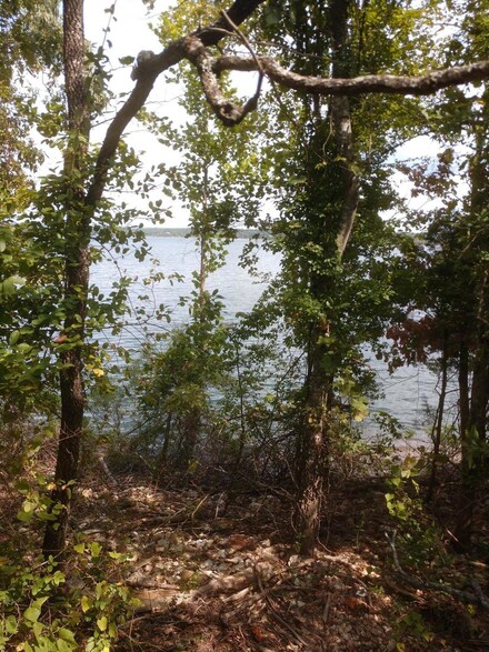 Lot 31 Eagles Point Ln, Williams Township, MO 65747