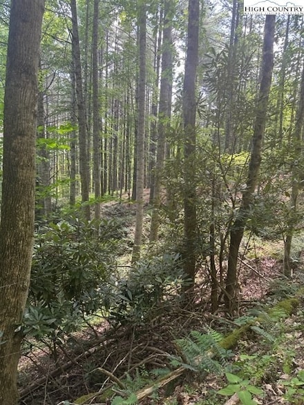 Lot 17 Sunny Ln, Crumpler, NC 28617