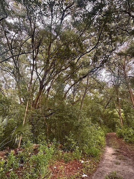 0 NE 30th Place, Williston, FL 32696