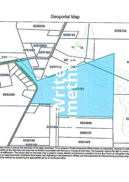 0 Lower Rome Rd Unit 2388424, Springfield, LA 70462